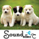 Amazing Funny Sounds