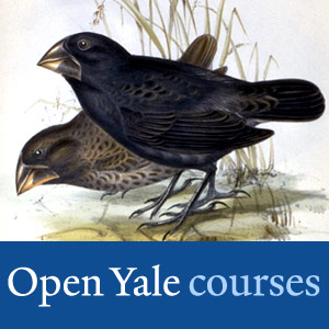 Evolution, Ecology and Behavior - Audio Evolution, Ecology and Behavior - Audio